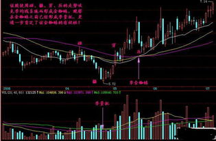 股票里说的金蜘蛛是什么？