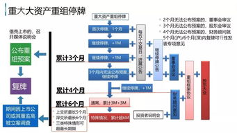 SR  在公司运作中是什么意思?