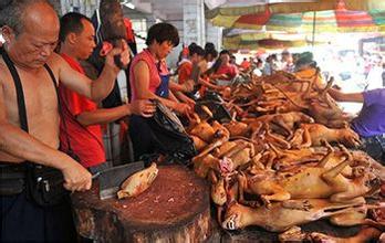 2016年玉林狗肉节是几月几号 什么时候 起源是什么
