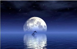关于月亮朦胧美的诗句