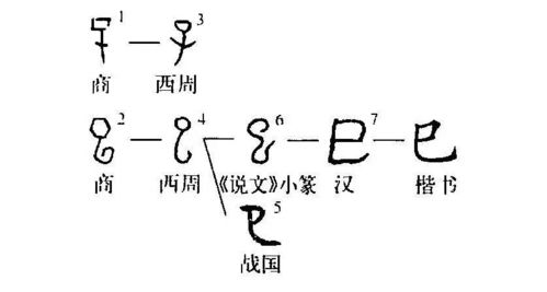 细说汉字 巳 