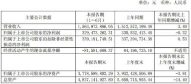 会计半年报指的是什么报表?应该如何写?