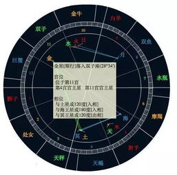 我们都是双子座熊孩子 