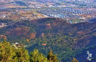 秋高气爽,北京香山红叶节近十万人来赏红叶,游客比红叶还多