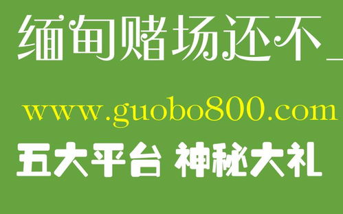 澳门云鼎注册网址-探讨网络科技的安全与便利性