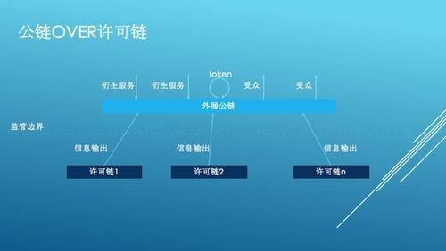 多米公链丁博士 丁博士网络科技靠谱吗