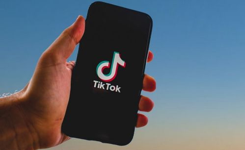 tiktok. com_TikTok账号增加播放量