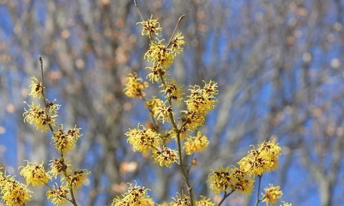 3月过后,一帘幽梦,情结难解,与前任重温爱情的4大星座