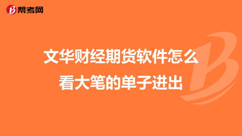 文华财经期货软件怎么看大笔的单子进出