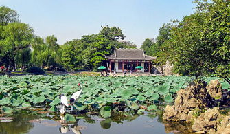 南京莫愁湖公园免费开放日时间 (莫愁湖公园停车场免费地点)