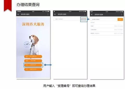 微信也能办犬证了 深圳城管 养犬服务平台 上线