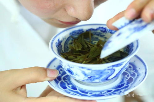 喝老白茶能解药性吗