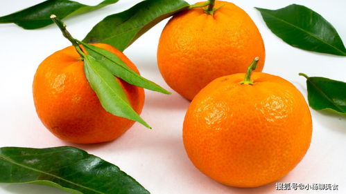 应季水果少不了,橘子不能缺,教你四个技巧, 挑出香甜水分充足