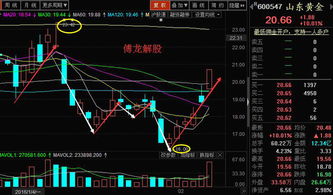 山东黄金未来走势如何？