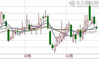 中金黄金停牌的真正原因是什么？