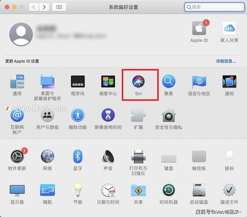 如何解决Mac 上的 Siri 无法正常工作的问题