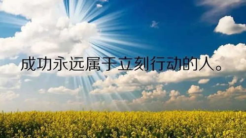 正能量短视频热门励志语录—阳光正能量励志语录？