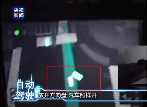 直播夜光摆件怎么弄好看 野钓开直播必要的装备