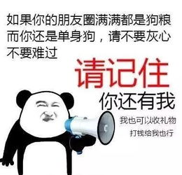 520搞笑名言