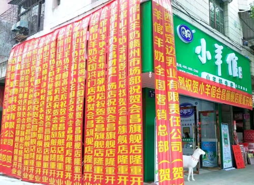 新店开业 开业遇上跨年, 鼠 不完的惊喜