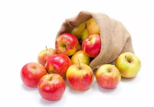 苹果成熟是什么季节,苹果什么季节结最茂盛？