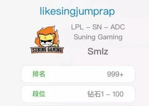 lol谐音情侣游戏id〖cpdd是什么意思啊〗