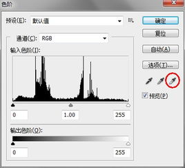 求ps高手帮忙,下面的图片怎么弄 