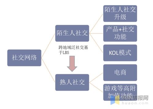 社交网络行业现状及用户分析,用户群体泛化,消费能力升级 图