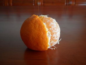 制作陈皮的是哪种橘子 真正陈皮是什么果皮