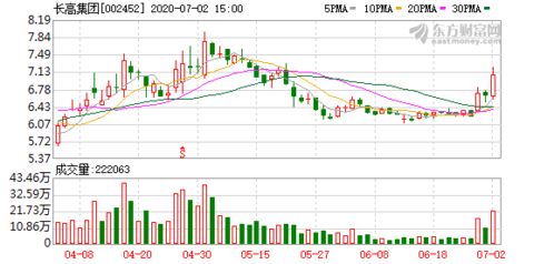 国投电力注资5.2亿元，设立西藏新能源子公司