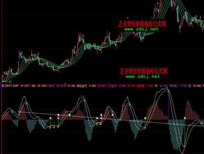 炒股的软件大智慧上MACD指标怎么看啊？