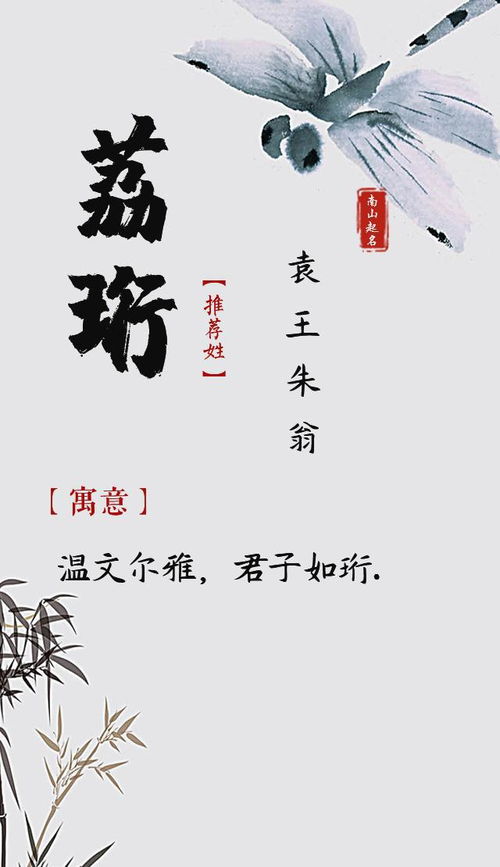 翩翩君子,不凡风度的男孩的名字