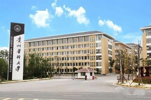 遵义医科大学医学与科技学院，贵阳医学院和贵阳医学院神奇民族医药学院有什么区别