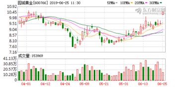 600766 园城股份 今日涨停了 将来怎么样?可不可以再买了