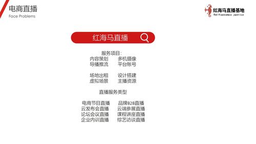 惠州直播帶貨公司哪家好(惠州直播帶貨公司排名)