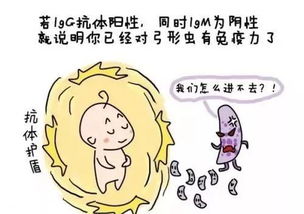 孕期养宠物,真的会感染弓形虫病吗