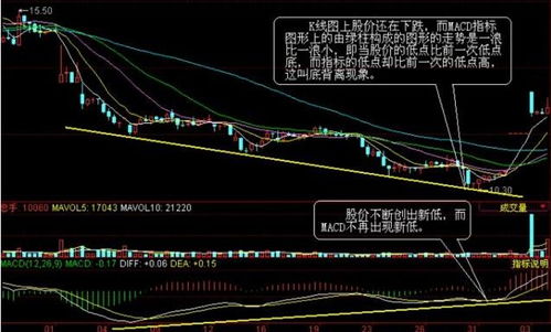 MACD出现双底背离是什么信号