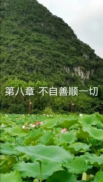 上善若水 水利万物而不争 