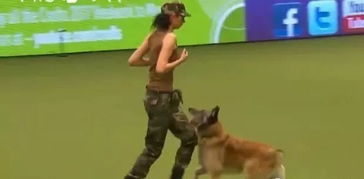 一只军犬表演走军步,下一秒搞笑的一幕发生,走着走着就......
