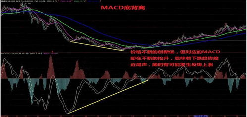 如何看macd指标钝化