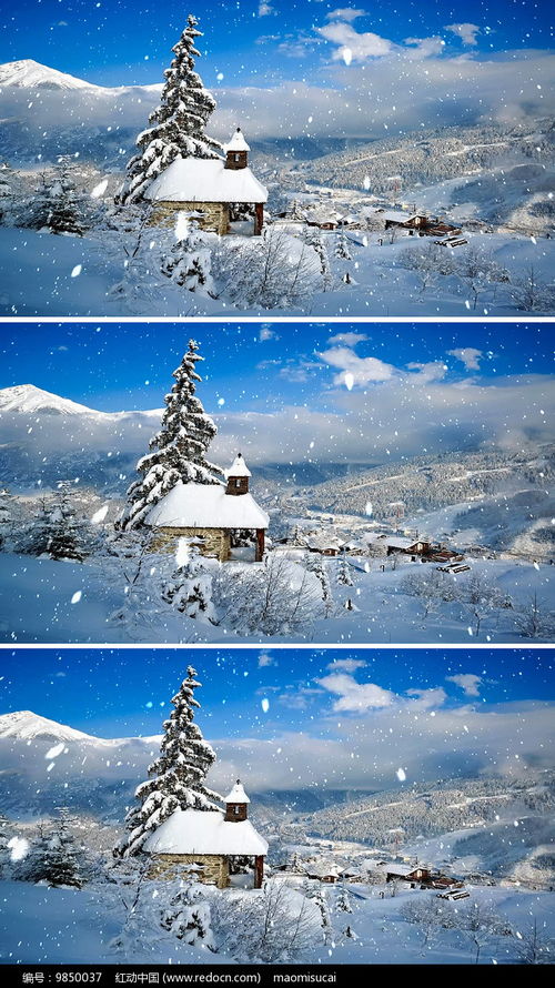 雪景色动态手机壁纸 搜狗图片搜索