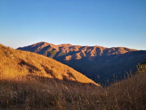 武功山旅游必备攻略 武功山坐车 住宿 登山攻略