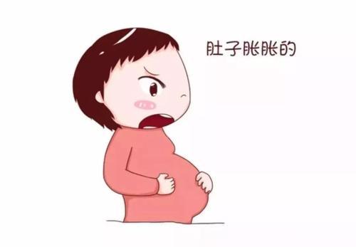 吃不多肚子大怎么回事(吃不多但是肚子大)