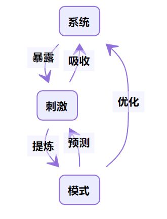 从大脑的本质,看教育人如何设计一套属于自己的 成长系统 头条