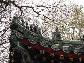 北京的福佑寺什么时候可以对外开放