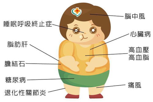 潍坊滨海国际学校 爸妈讲师团 第九讲 肥胖对青少年的危害