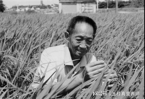 杂交水稻之父袁隆平逝世,老年人,更要注意 最后一跤