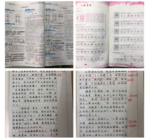 将常规落实到实处,把平常做到极致 记福州金桥学校小学部教学常规检查