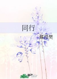 同行 苏璟樊 