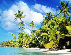 马尔代夫四季花岛美丽的花海给你不一样的旅行体验